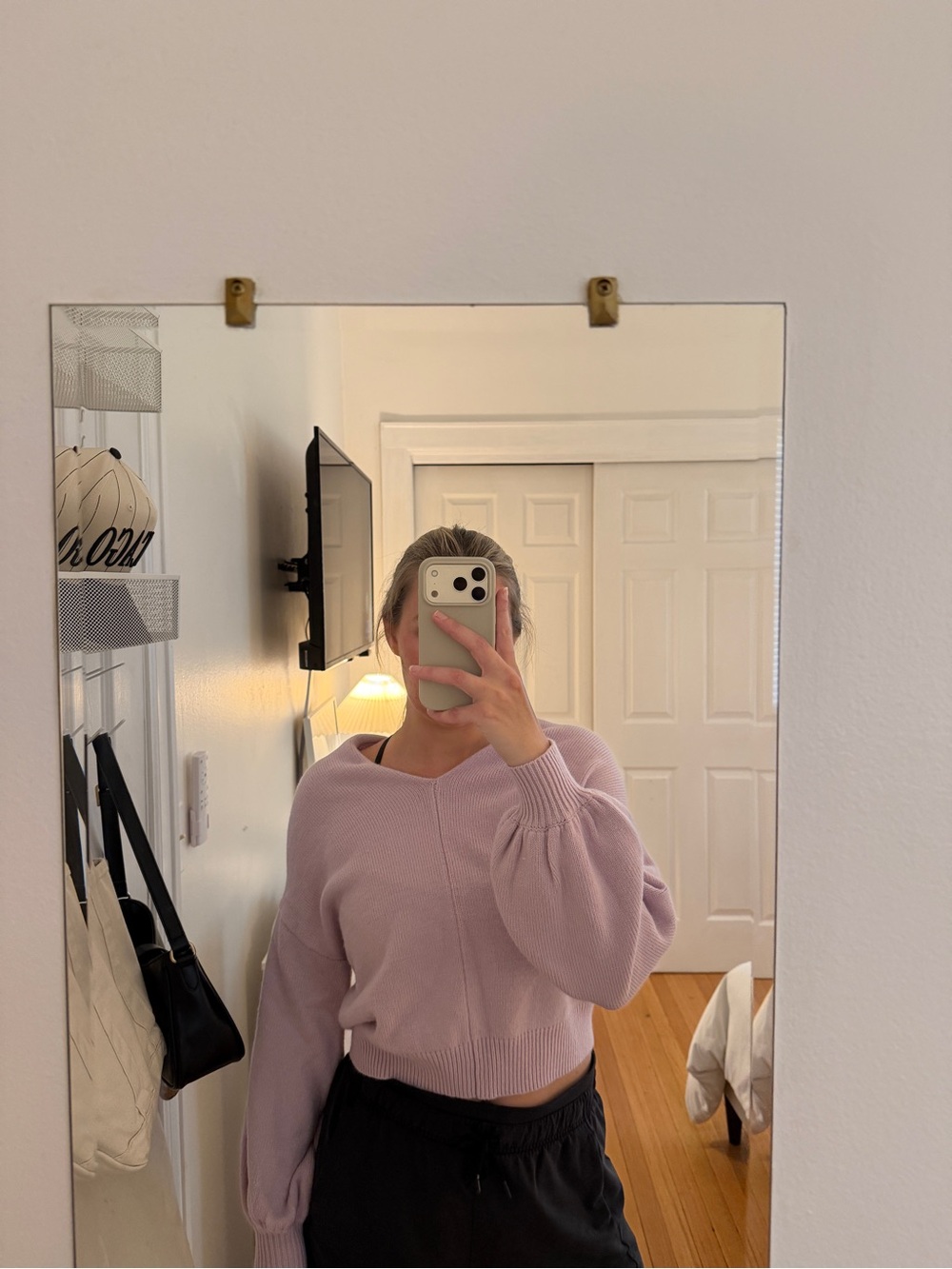 Astr Lilac V-Neck Balloon Sleeve Sweater